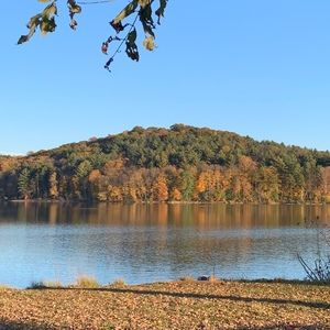 Meet your Posher, Ariana